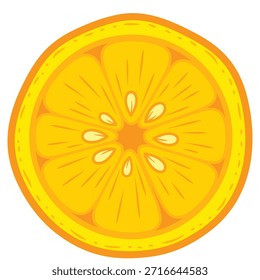 Ilustração de fruta de fatia laranja colorida vibrante isolada no plano de fundo branco