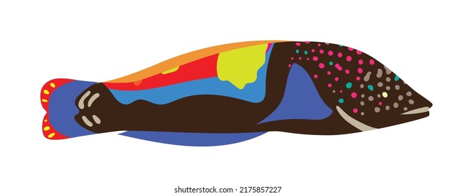 Vibrant colorful sea moray. Perfect for decoration and illustration.