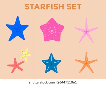 Vibrant and Colorful Starfish Collection: A Fun Underwater Exploration of Coastal Marine Life