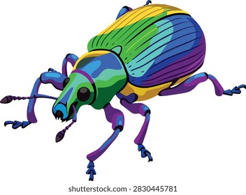 Vibrant Colorful Weevil Beetle Vector Illustration on White Background