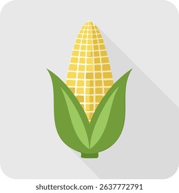 Vibrant Corn Cob Illustration with Green Husk on Gray Background.