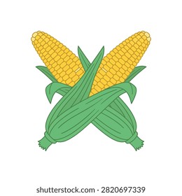Vibrant corn cobs showcasing freshness and natural harvest for food and farming themes.