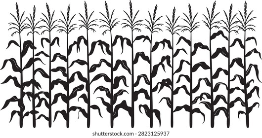 Vibrant cornfield with lush, tall stalks under bright sunlight.