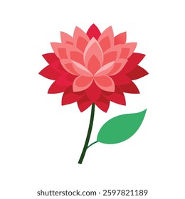 A vibrant dahlia flower with intricate petals, elegantly displayed against a clean white background.