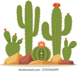 Vibrant desert landscape with diverse cacti and flowers on rocky terrain