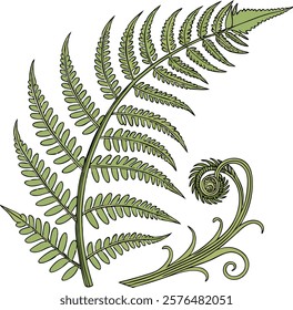  A vibrant, detailed green fern perfect for natural, botanical, and eco-themed projects.