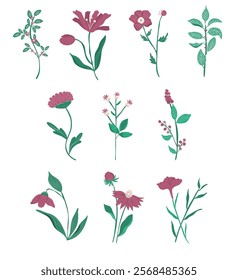 A vibrant and detailed illustration of wildflowers. perfect for use in stationery, packaging, and home decor.