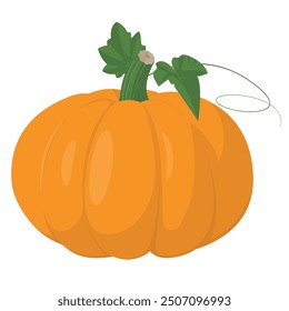 a vibrant detailed pumpkin vector image with a classic orange hue and rich textures. The scalable pumpkin illustration is perfect for use in print and digital media