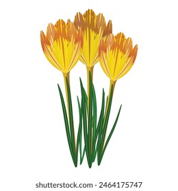 Vibrant digital art illustration of a bunch of yellow tulips with orange accents, isolated on a white background, showcasing the elegant and colorful floral design