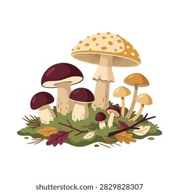 A vibrant digital illustration featuring a cluster of different forest mushrooms, including dark-capped and spotted varieties, growing on a patch of moss with fallen leaves.
