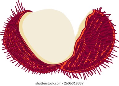 A vibrant digital illustration of a rambutan fruit, partially peeled to reveal its smooth, white flesh