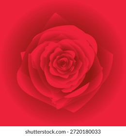 Una vibrante ilustración digital de una rosa roja con intrincados pétalos en capas, mostrando un tono cálido monocromo. Perfecto para el Diseño gráfico moderno, temas románticos y fondos artísticos.