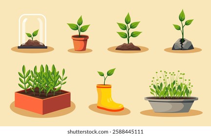 A vibrant digital illustration showcasing various stages of seedling growth in different environments, including pots, soil, and even creative containers like a boot. Perfect for gardening, sustainabi