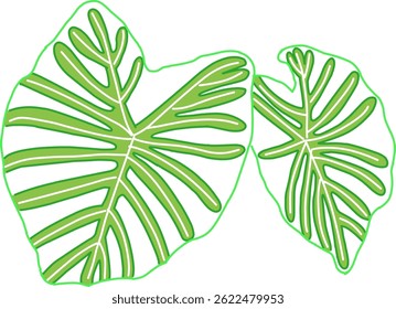 A vibrant digital illustration of two Monstera leaves with bold green and white outlines on a white background