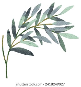 Vibrante Eucalyptus deja pintura acuarela - Ilustración botánica de la vegetación exuberante