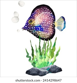 Vibrant Fish and Coral Watercolor Painting - Artistic Marine Illustration