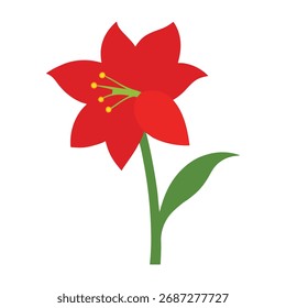 Una ilustración de diseño vibrante y plano de una sola flor de amarilis roja con tallo verde y hojas sobre un fondo blanco.