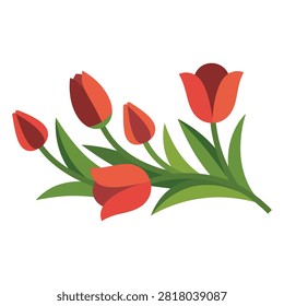 Vibrant flat vector illustration of a red tulip branch featuring blooming flowers and closed buds with long green leaves. Great for Spring designs, Mother's Day cards, and botanical projects.