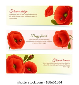 Vibrant floral horizontal banners of poppy flowers and blossoms with lady birds isolated vector illustration