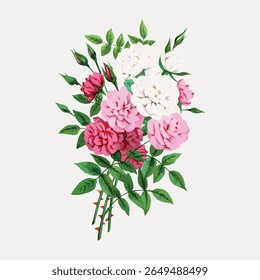 A vibrant floral illustration featuring pink and white roses. The roses are surrounded by lush green leaves. Beautiful roses, delicate petals, and vivid colors. Vintage flower illustration vector.