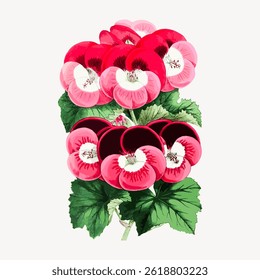 Vibrant floral illustration of pink and red flowers with lush green leaves. The flowers are detailed and colorful, with pink and red petals in full bloom. Vintage flower illustration vector.