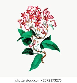 Vibrant floral illustration with red flowers and green leaves. The floral design showcases red flowers and lush green leaves in a vivid illustration. Vintage botanical drawing art.