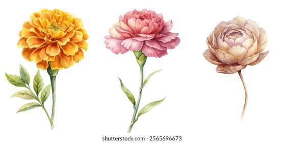 Vibrant floral illustrations, watercolor style, botanical art, colorful flowers, nature-inspired design, decorative elements.