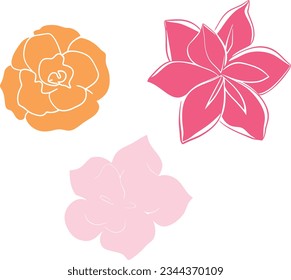 Vibrant floral set: Burst of colorful blooms, a joyful collection of diverse, vivid flowers. Perfect for adding cheer to any project
