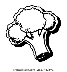 A vibrant fresh broccoli vegetable, ideal for healthy meals, cooking, and nutritious diets, showcasing green florets and sturdy stalks.