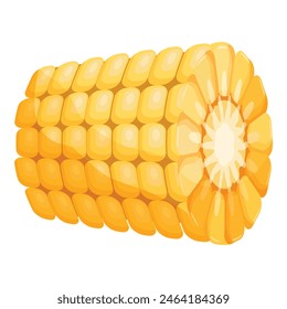 Vibrant and fresh corn cob illustration in vector form depicting ripe and yellow maize. A staple crop in agriculture and farming. Perfect for summer and vegetarian cooking