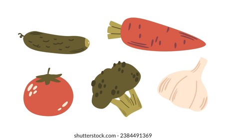 Vibrant Fresh Vegetable Set, Featuring Colorful Plump Tomato, Crisp Carrot, Cucumber, Broccoli and Garlic