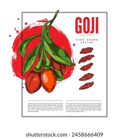 Vibrant Goji berry vector illustration with a splash of color, showcasing both fresh and dried forms, hand-drawn for visual appeal.