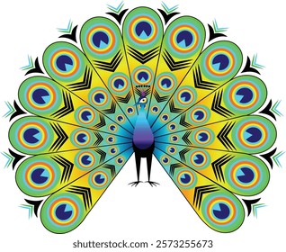 A vibrant graphic illustration of a peacock with its radiant tail feathers fully spread. The intricate feather designs in striking shades of green, yellow, blue and black on white background.