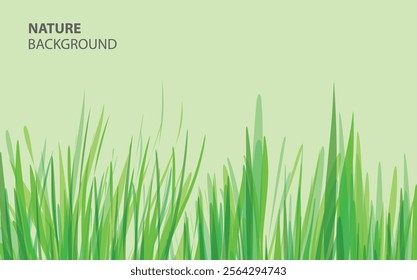 Vibrant Grass Blades background tempale nature's simplicity