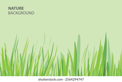 Vibrant Grass Blades background tempale nature's simplicity