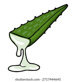 Vibrant green aloe vera leaf slice with dripping clear gel, isolated vector illustration.