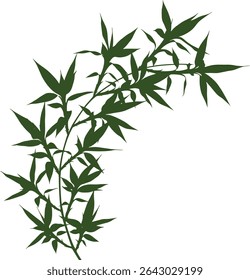 Vibrant green bamboo branch elegantly curves against a clean white background. Perfect for design projects needing a touch of nature's serenity.