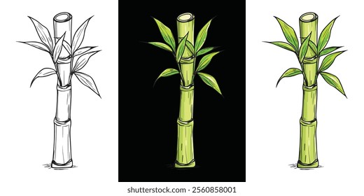 Vibrant green bamboo stalk with leaves, a nature illustration.