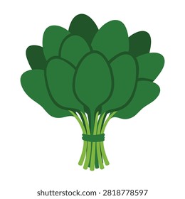 A vibrant green broccoli bunch tied with a band isolated on white background healthy eating concept