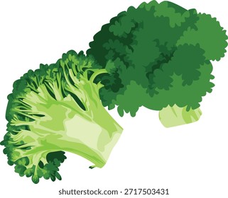 Un florete de brócoli verde vibrante y tallo sobre un fondo blanco limpio con un efecto de enfoque superficial.