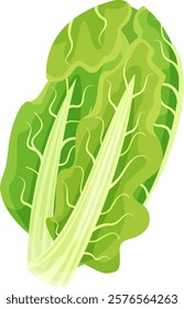 Vibrant green chard leaf features prominent veins and a thick stem, highlighting freshness and health benefits, perfect for promoting healthy eating and vegetarian lifestyles