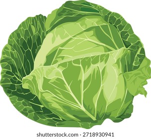 Una cabeza verde vibrante de repollo con hojas apretadas contra un fondo blanco limpio.