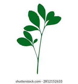 A vibrant green herb plant featuring multiple leaves, ideal for culinary, medicinal, or decorative purposes, isolated on a white background.