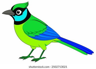 Ilustración vectorial verde vibrante del pájaro de Jay con los Colores atrevidos en el fondo blanco