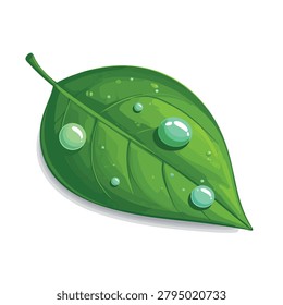 A vibrant green leaf featuring realistic water droplets and dew condensation isolated on a plain white background