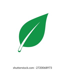 Un icono de hoja verde vibrante con un diseño elegante y moderno, con una línea blanca suave en el centro, aislado en un fondo blanco puro, perfecto para temas ecológicos