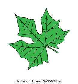 Vibrant Green Leaf Illustration with Detailed Veins and Unique Shape