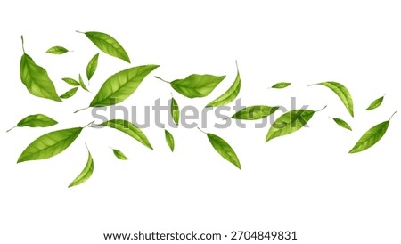 Vibrant green leaves drift across a white background, conveying freshness energy and nature, vector illustration background