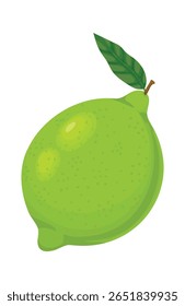 Vibrant green lime with attached leaf, showcasing freshness and health, perfect for food and beverage illustrations, against a clean white background