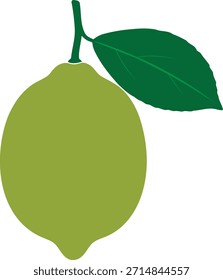 A vibrant green lime with a stem and leaf, set against a clean white background, perfect for culinary or health-related designs